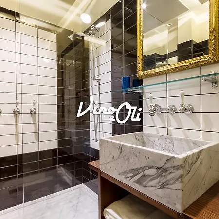 Vino E Oli Residenze Apartment Rome
